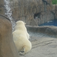 2009.07.03-zoo-158.JPG