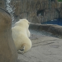 2009.07.03-zoo-159.JPG