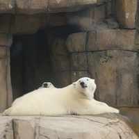 2009.07.03-zoo-160.JPG