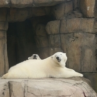 2009.07.03-zoo-161.JPG