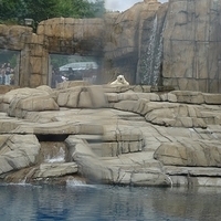2009.07.03-zoo-162.JPG