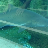 2009.07.03-zoo-175.JPG