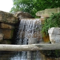 2009.07.03-zoo-192.JPG