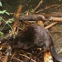 2009.07.03-zoo-200.JPG