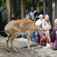 2009.07.03-zoo-201.JPG