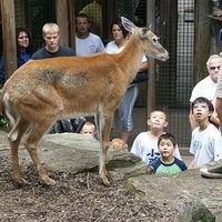 2009.07.03-zoo-202.JPG