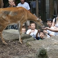 2009.07.03-zoo-203.JPG