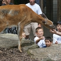 2009.07.03-zoo-204.JPG