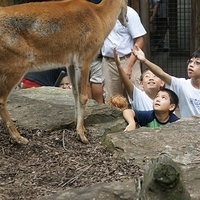 2009.07.03-zoo-205.JPG