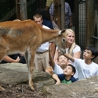 2009.07.03-zoo-206.JPG