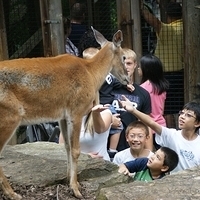 2009.07.03-zoo-207.JPG