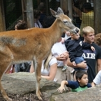 2009.07.03-zoo-208.JPG
