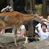 2009.07.03-zoo-209.JPG