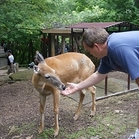 2009.07.03-zoo-211.JPG