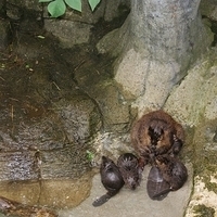 2009.07.03-zoo-215.JPG