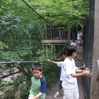 2009.07.03-zoo-217.JPG