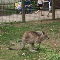 2009.07.03-zoo-219.JPG
