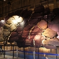 2009.12.30-069.JPG