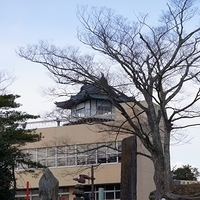 2009.12.31-015.JPG