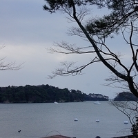 2009.12.31-018.JPG