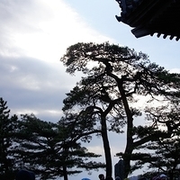 2009.12.31-022.JPG