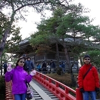2009.12.31-034.JPG
