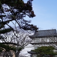 2009.12.31-035.JPG