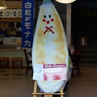 2009.12.31-053.JPG