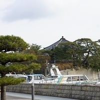 2009.12.31-054.JPG