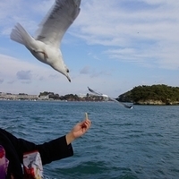 2009.12.31-065.JPG