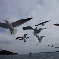 2009.12.31-087.JPG