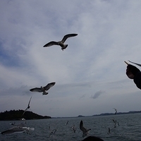 2009.12.31-088.JPG