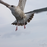 2009.12.31-092.JPG
