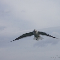 2009.12.31-093.JPG