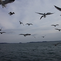 2009.12.31-094.JPG