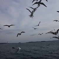 2009.12.31-095.JPG