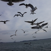 2009.12.31-096.JPG