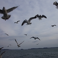 2009.12.31-097.JPG