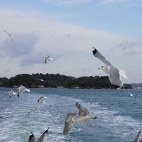 2009.12.31-098.JPG