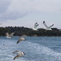 2009.12.31-099.JPG