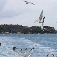 2009.12.31-100.JPG