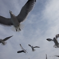 2009.12.31-107.JPG