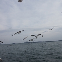 2009.12.31-108.JPG