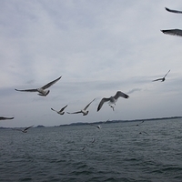2009.12.31-109.JPG