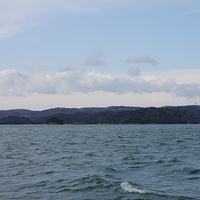 2009.12.31-127.JPG
