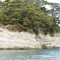 2009.12.31-135.JPG