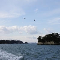 2009.12.31-138.JPG