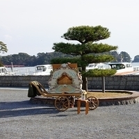 2009.12.31-155.JPG
