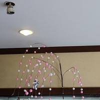 2009.12.31-164.JPG