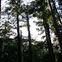 2009.12.31-181.JPG